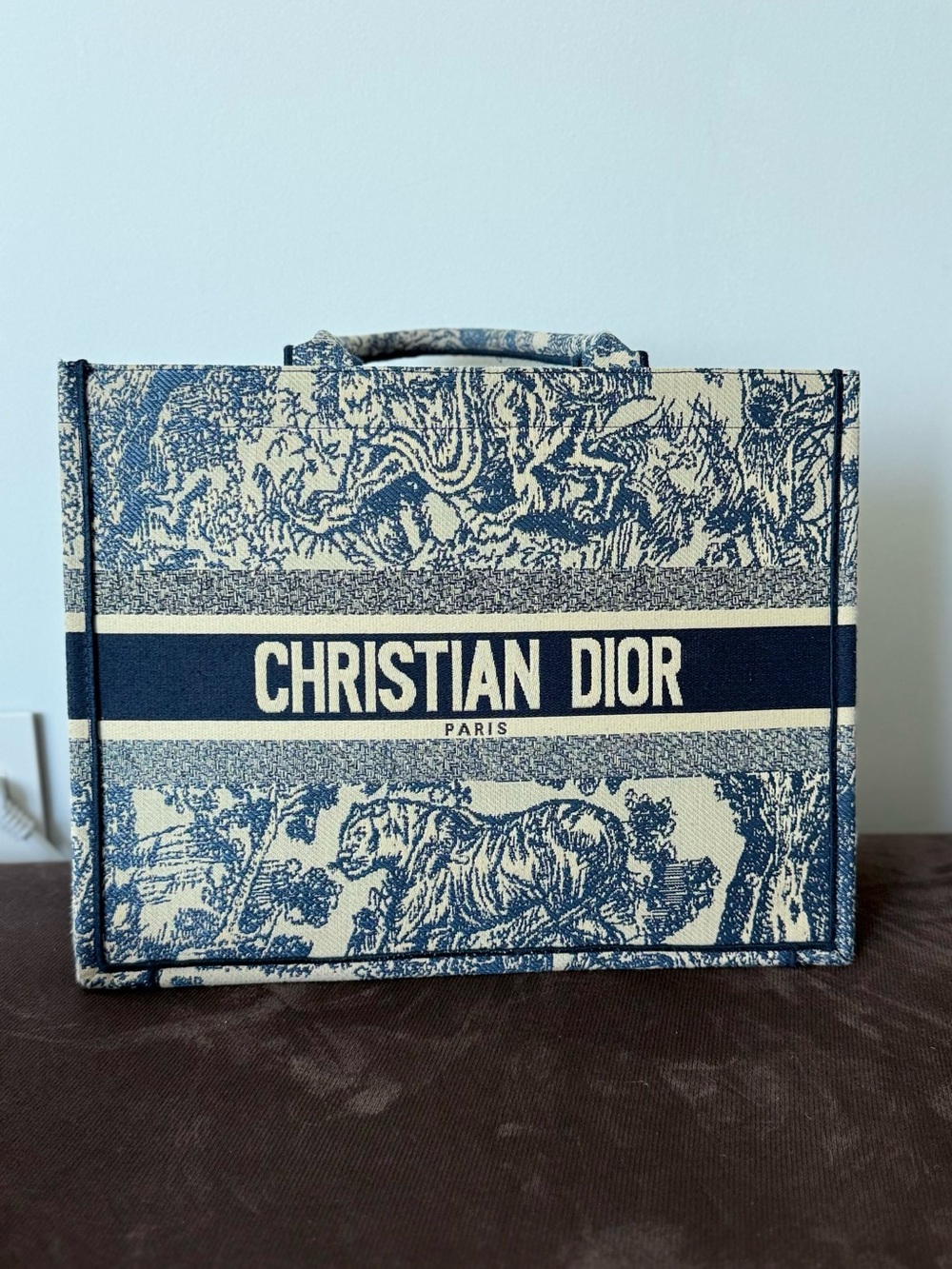 Dior Men's Toile Tote in Blue and Cream with Logo Band
